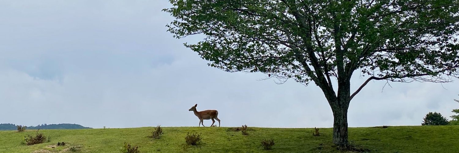 itymiky's profile banner image