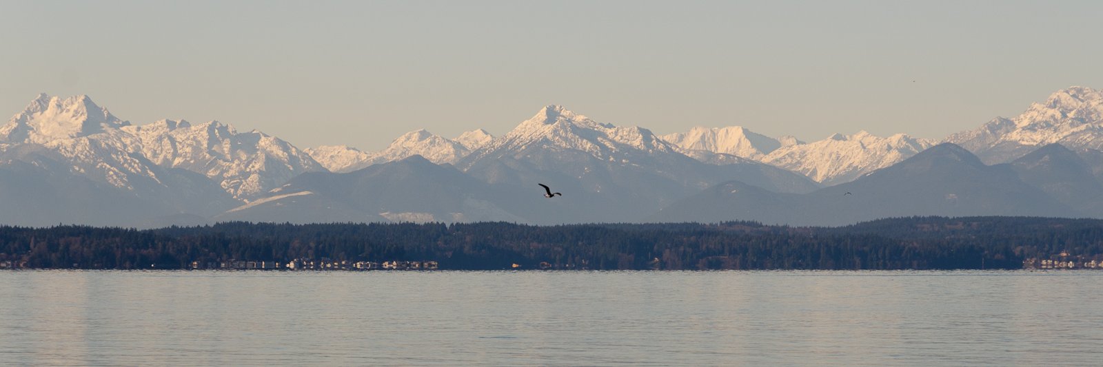 cruickshank's profile banner image
