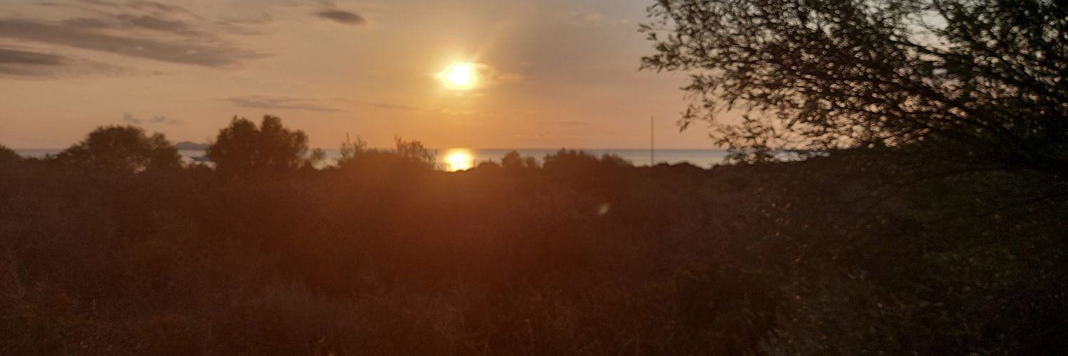 giada_ghidotti's profile banner image