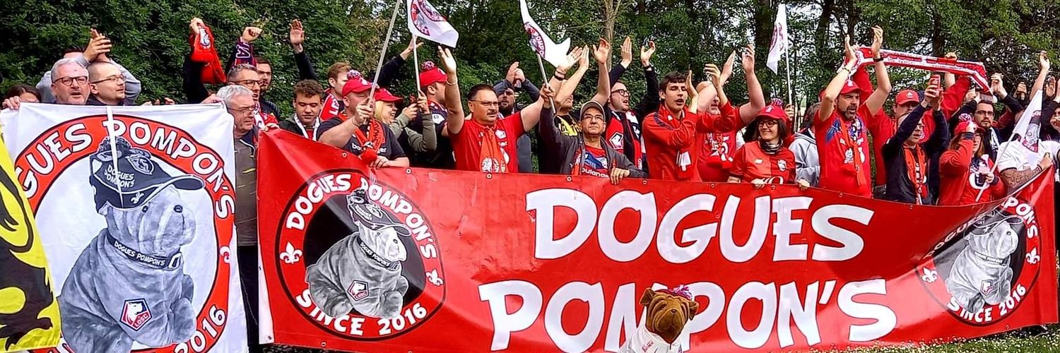 Dogues Pompons banner