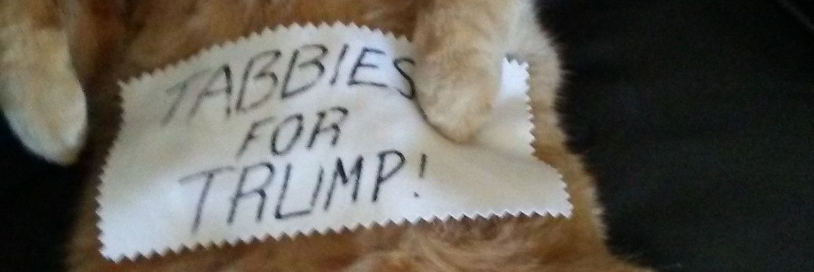 thecatsonme's profile banner image