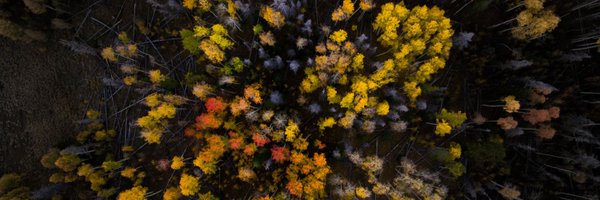 GreenFeedBack Profile Banner