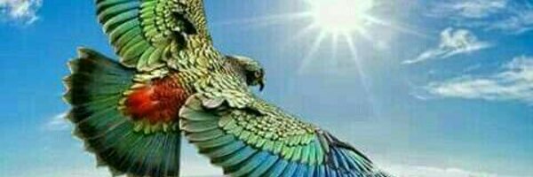 ysr4r4 Profile Banner