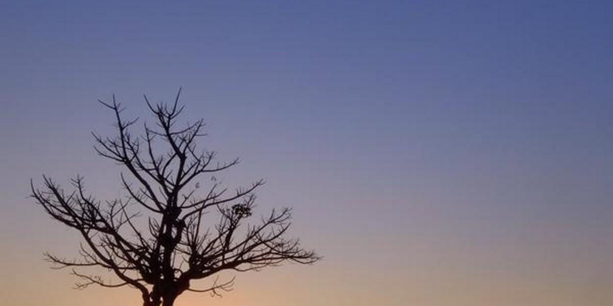 mrlprnmptr's profile banner image