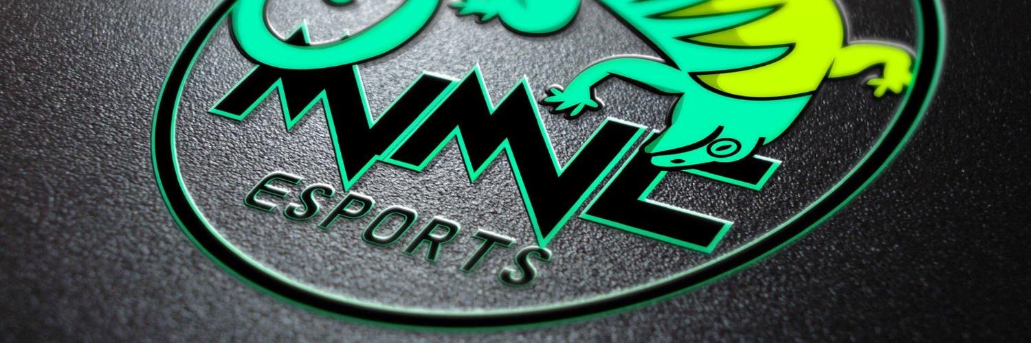 Florida Patriot banner