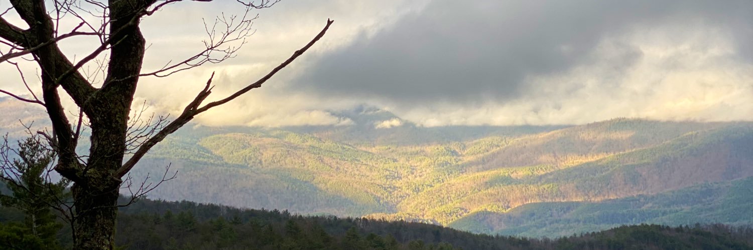 millercarolinee's profile banner image