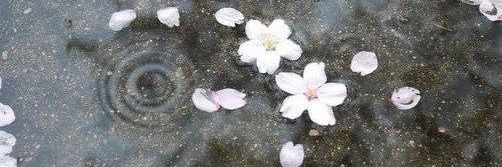 ته تغاری فندوم^-^ banner