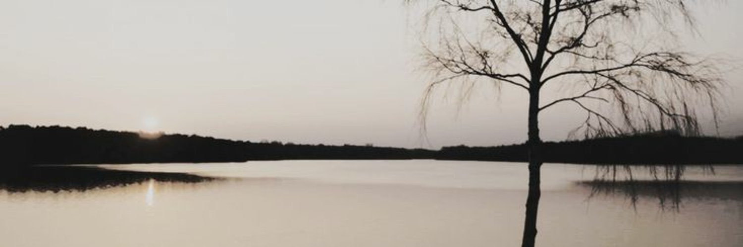 Wooyognu's profile banner image