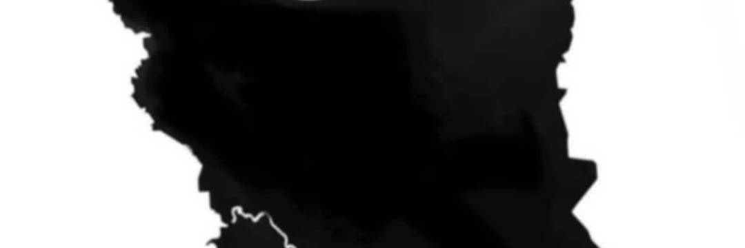 ell_naa banner