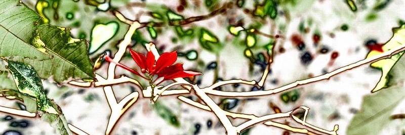 Peter Padawitz banner