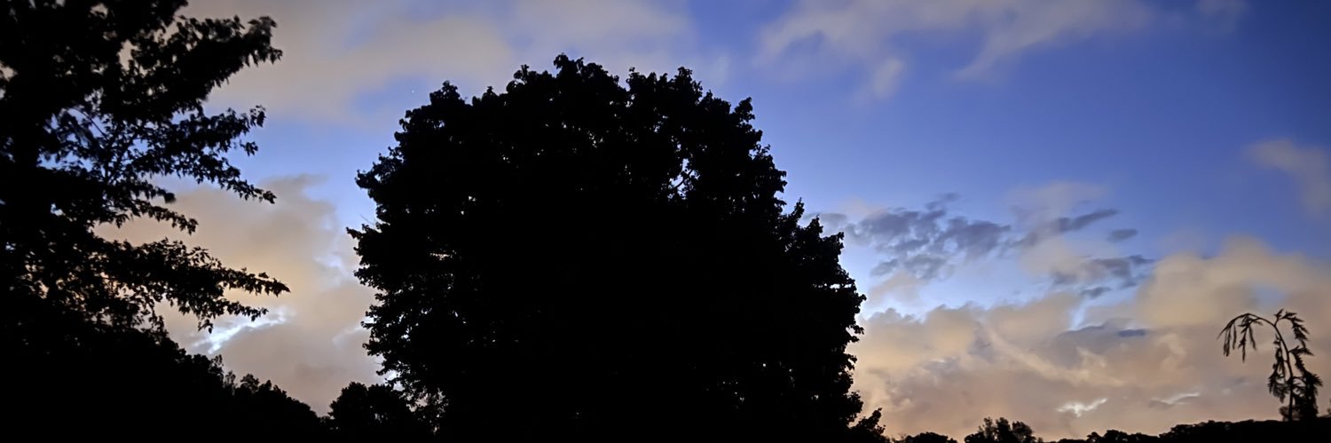 BoJo22🇺🇸 banner