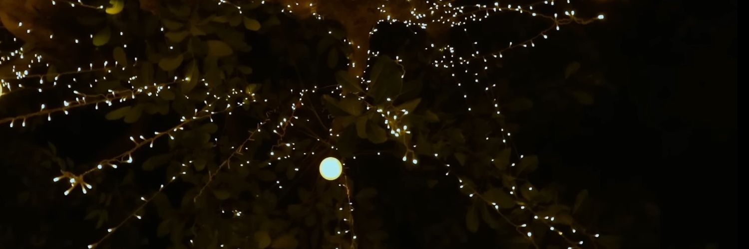 Emershoe13's profile banner image