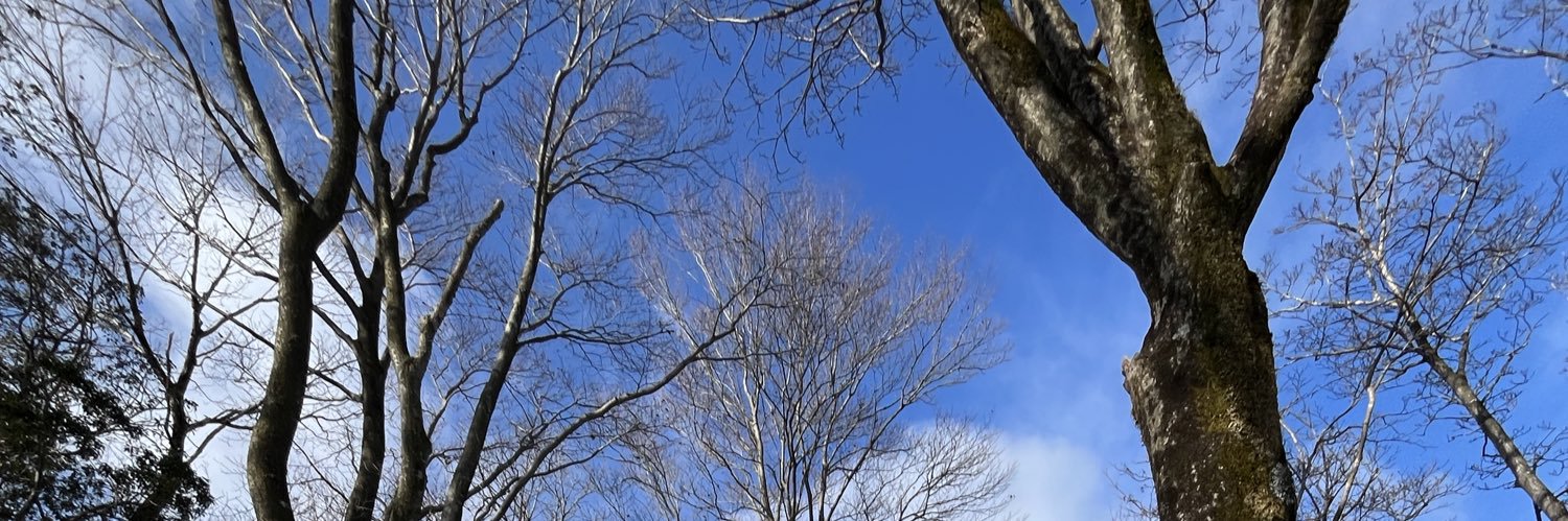 きなこもち banner