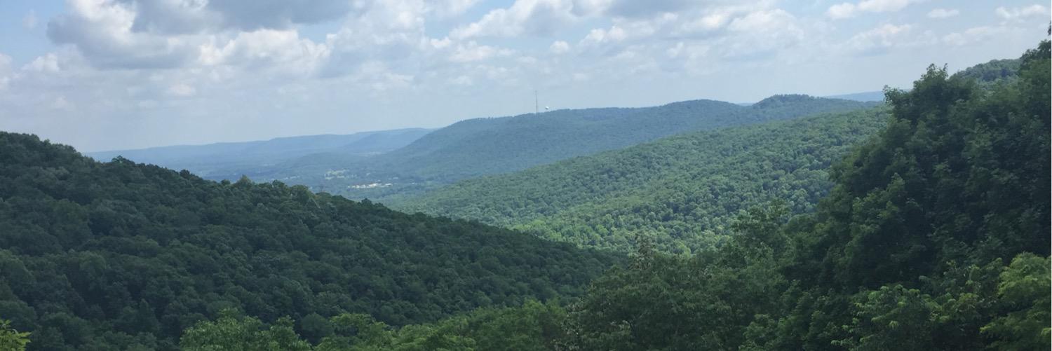leebowden44's profile banner image
