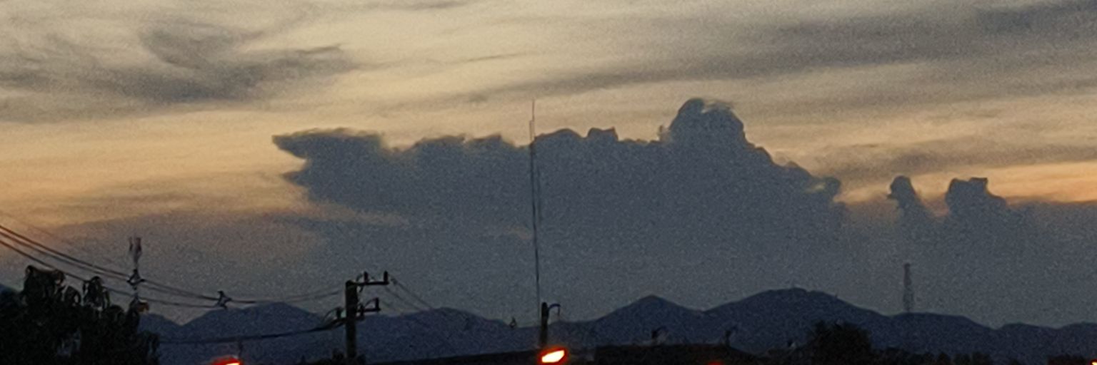 mamonmy555's profile banner image