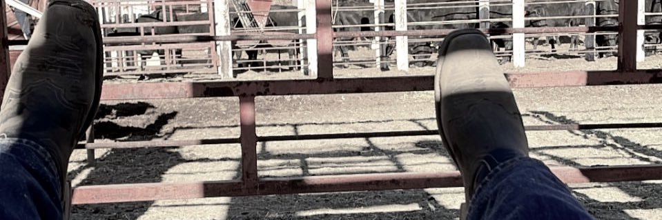 franciscoicedo's profile banner image