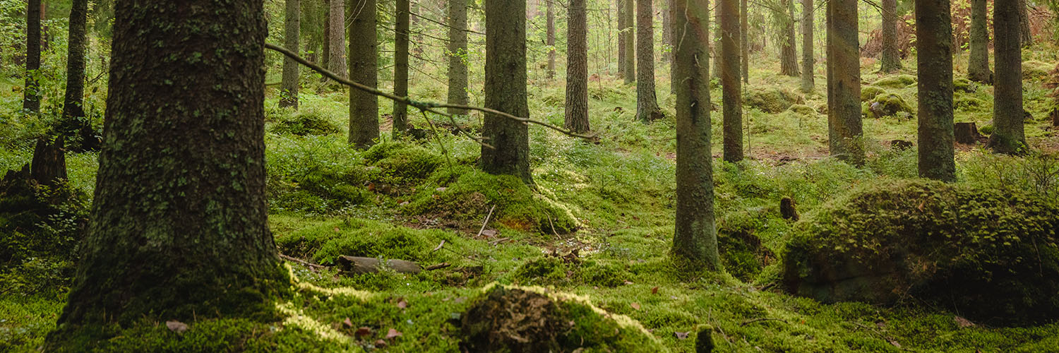 BIONEXTProject banner