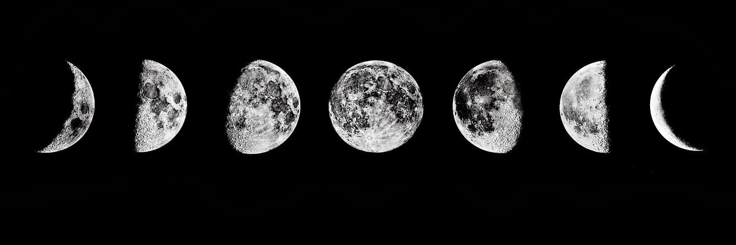 fangedm0uth's profile banner image