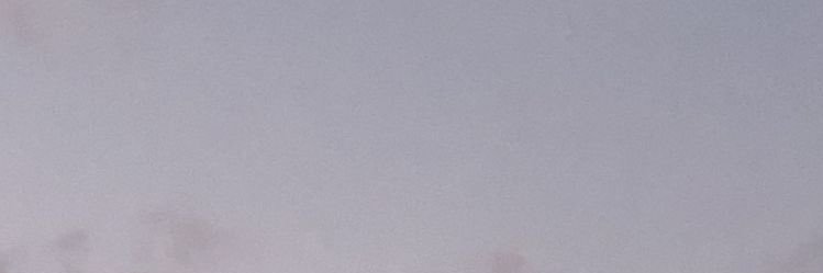 みこにゃん banner