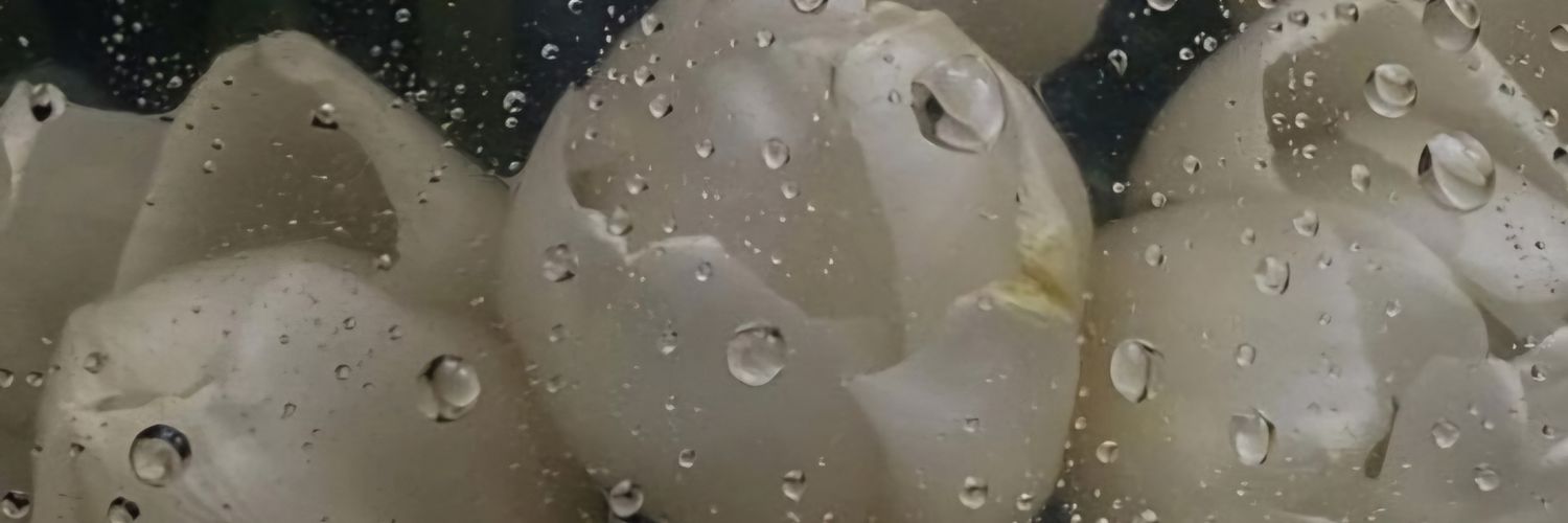 KathyAcid's profile banner image