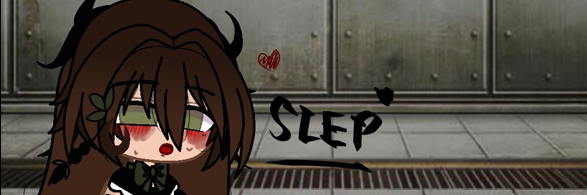 slleppy1's profile banner image