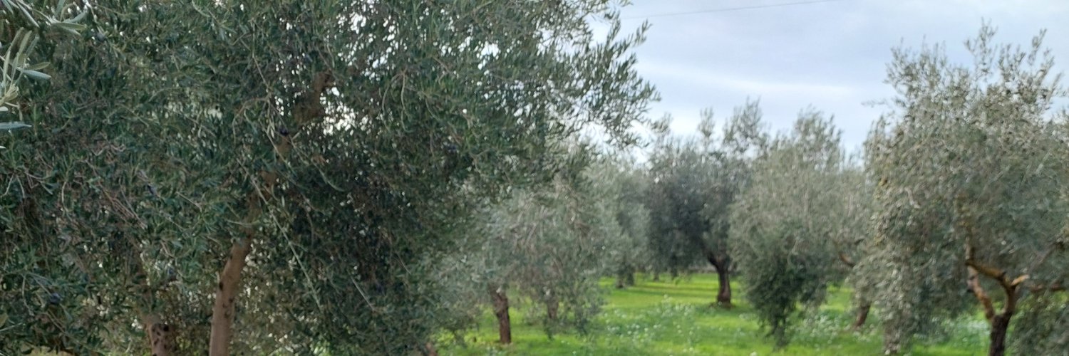 HumoMaikel's profile banner image