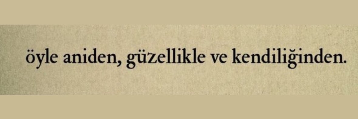 PdZeynepDmn's profile banner image