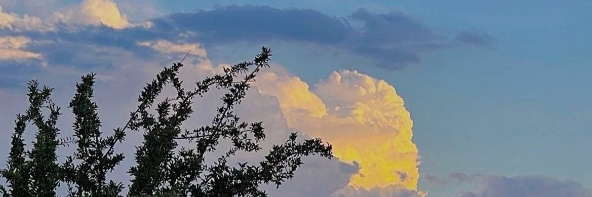 begumsrc's profile banner image