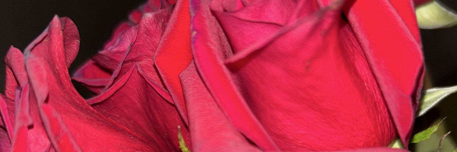 VirgoattC's profile banner image