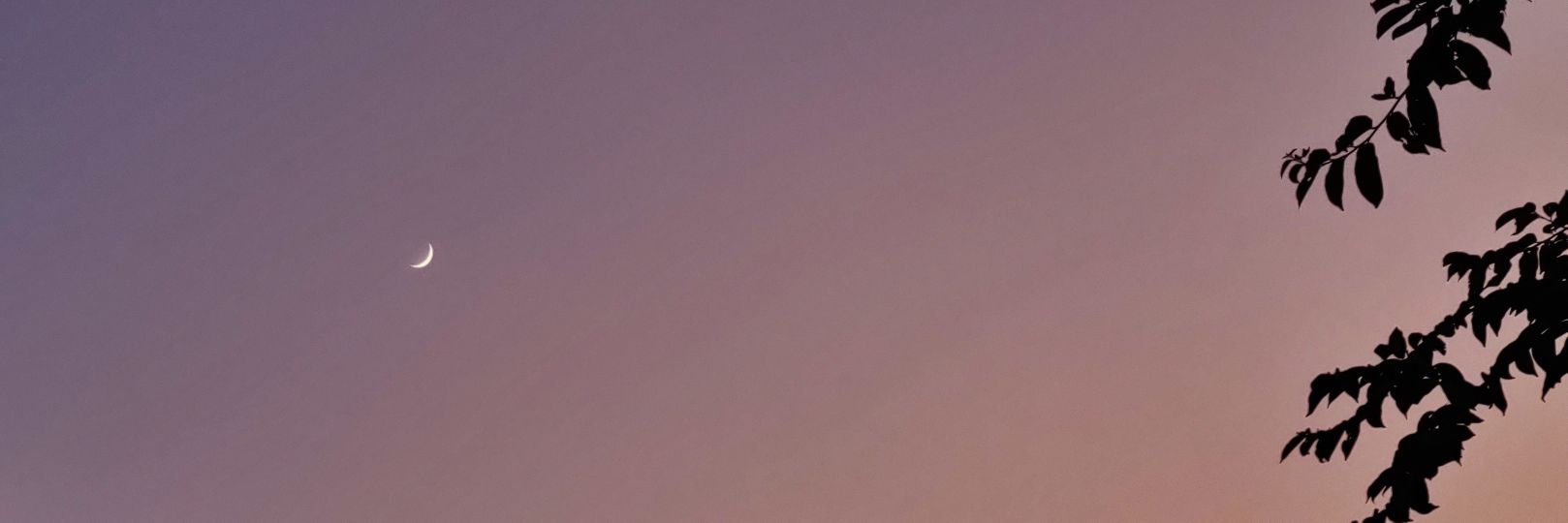 ADhasADHD's profile banner image