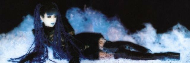 starwingdoll's profile banner image