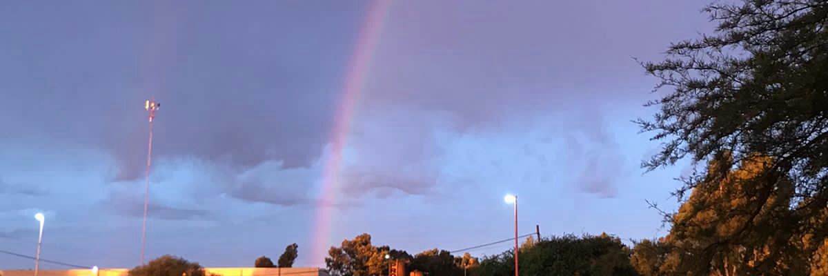 martimaggini's profile banner image