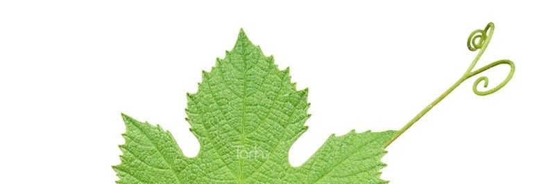 sagheangor's profile banner image