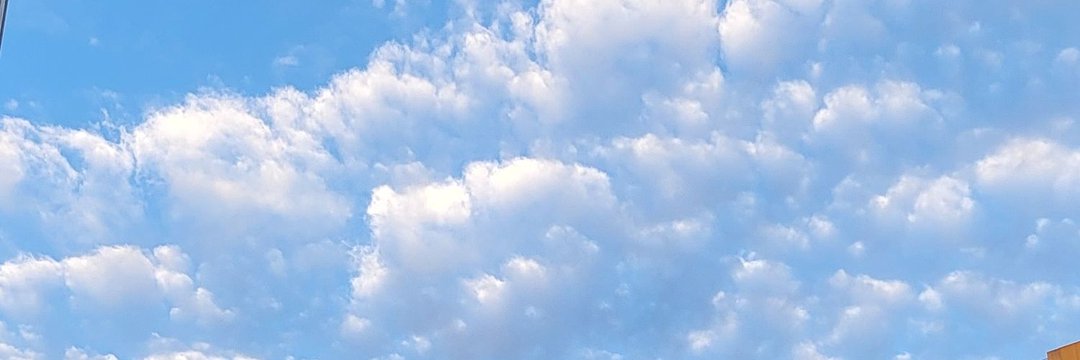 Goodman51515's profile banner image