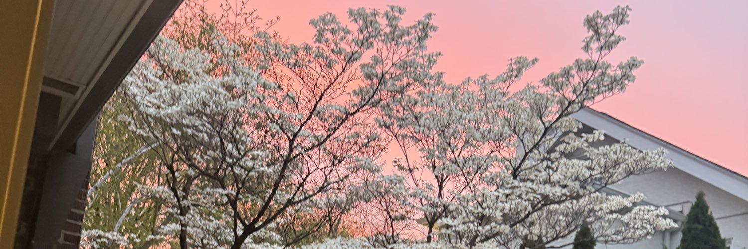 CWolf612's profile banner image