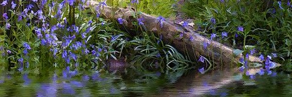 punc22x Profile Banner