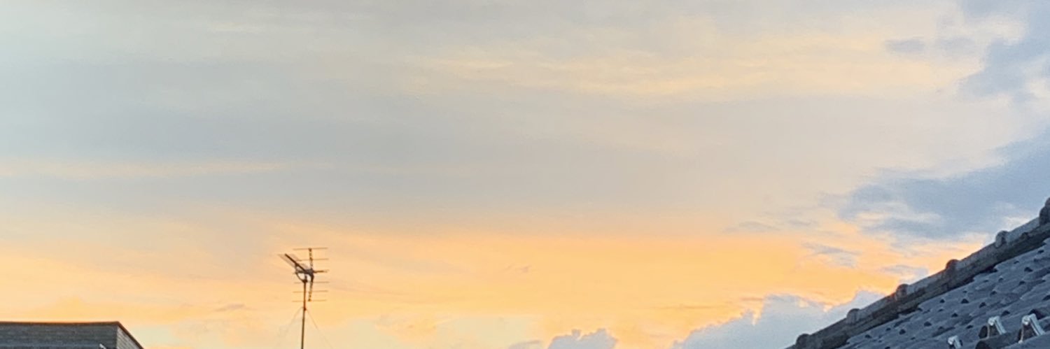 P_yntm's profile banner image