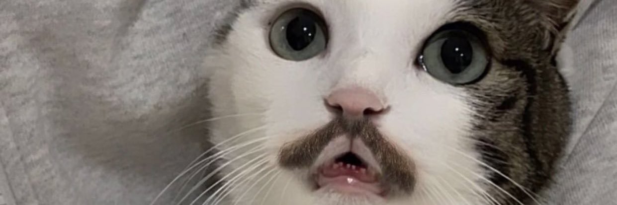 Newleleo's profile banner image