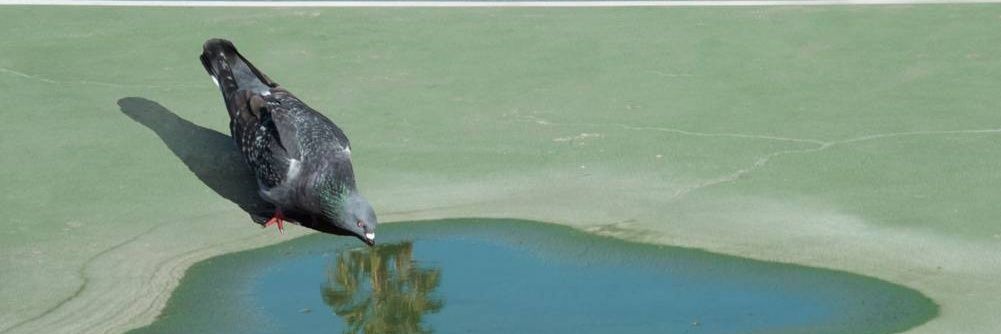 fisheyes233's profile banner image