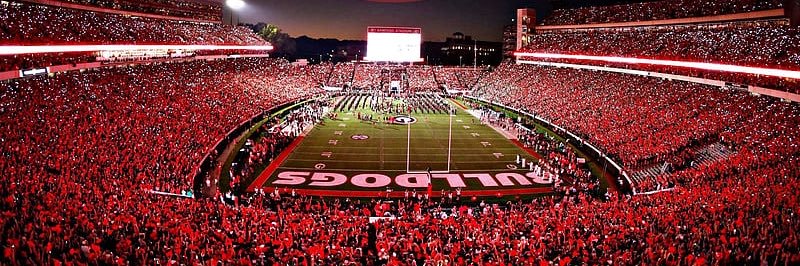 DAWGS4REAL's profile banner image
