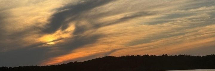 Hlya50808331's profile banner image