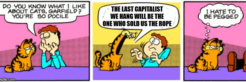 Premier Garfield banner