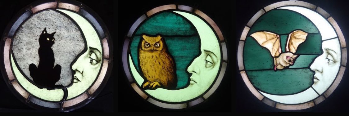 dania ☾ ₊˚ banner