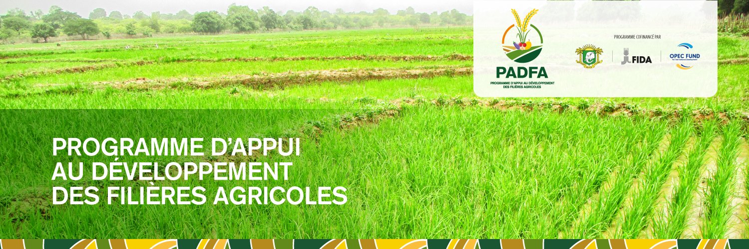 padfaci's profile banner image