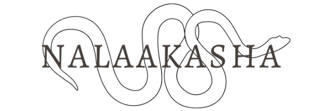nalaakasha's profile banner image