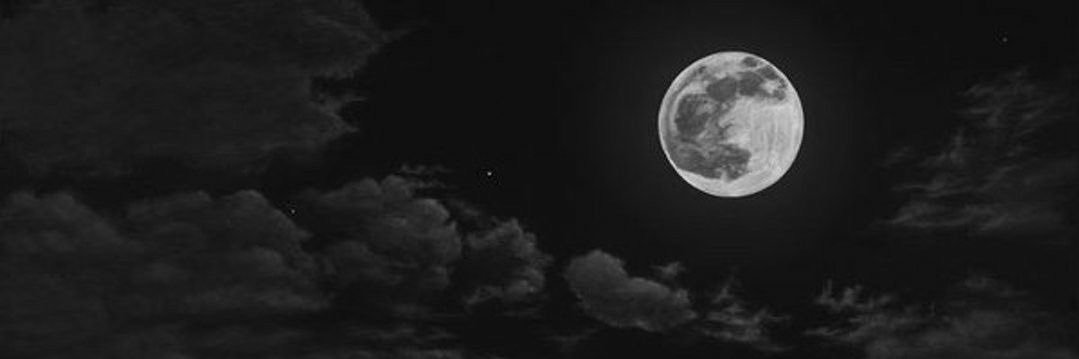 vkzqn's profile banner image