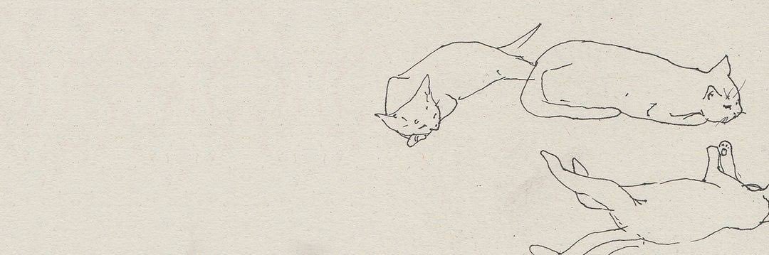 auberosey's profile banner image