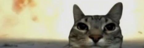 AmaralXxX0's profile banner image