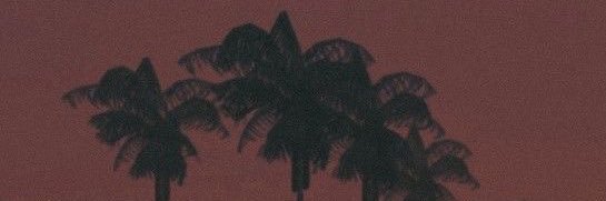 DANI_VF17's profile banner image