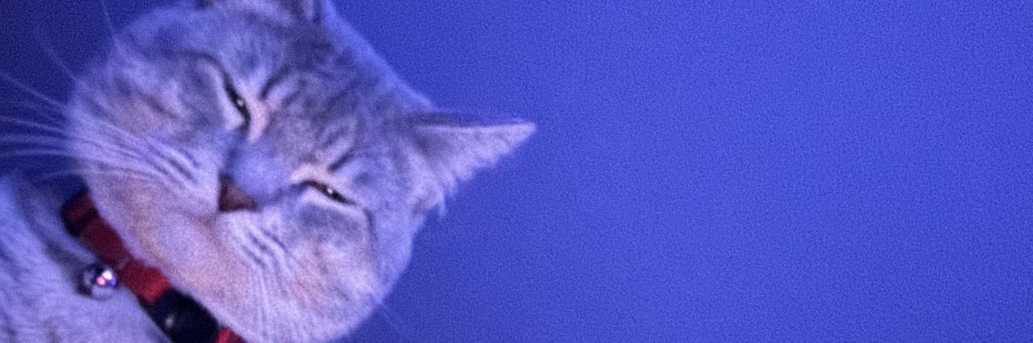 makaylarochell's profile banner image
